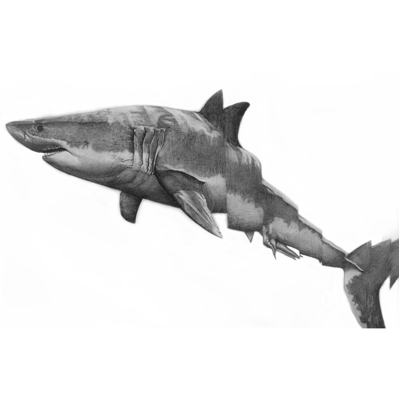 Jennifer Pelham - Art Print - If it's not one thing, it's another