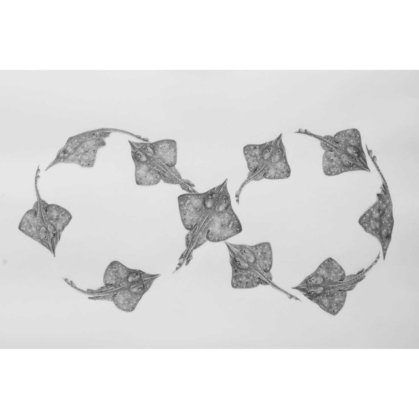 Jennifer Pelham - Art Print - Infinity 8