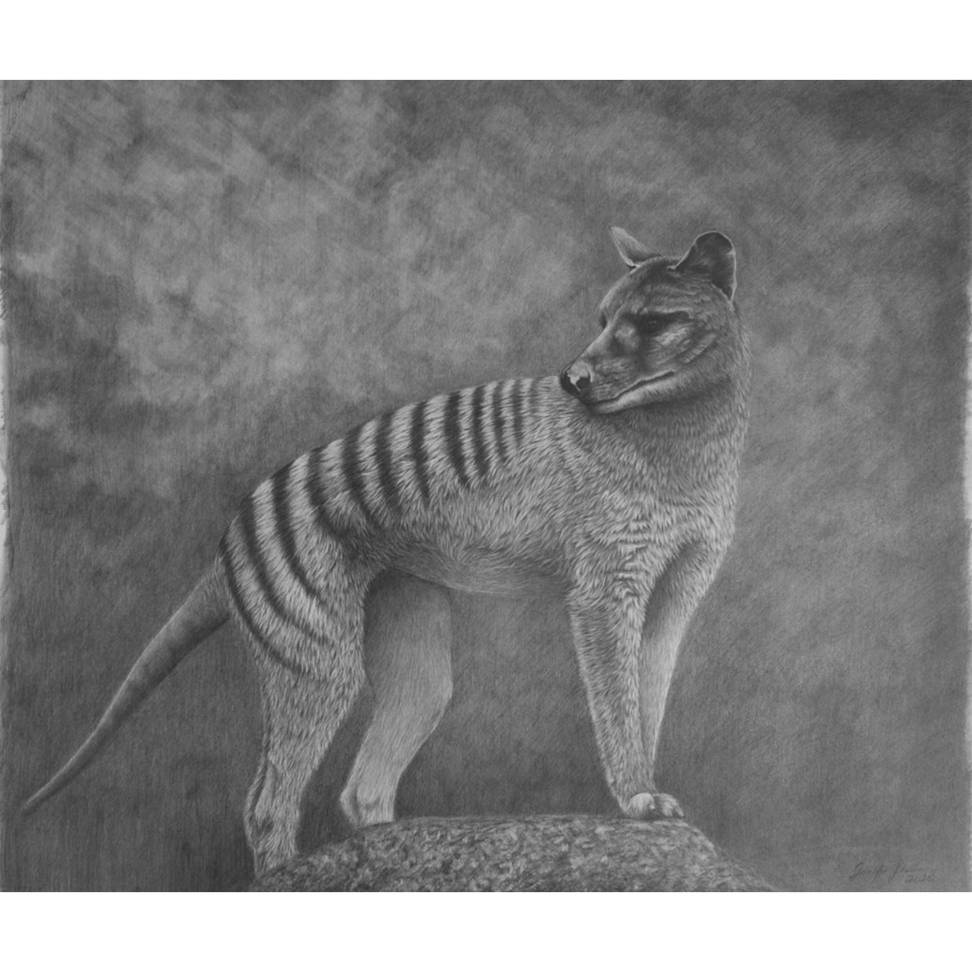 Jennifer Pelham - Art Print - Thylacine - Wild Island Tasmania