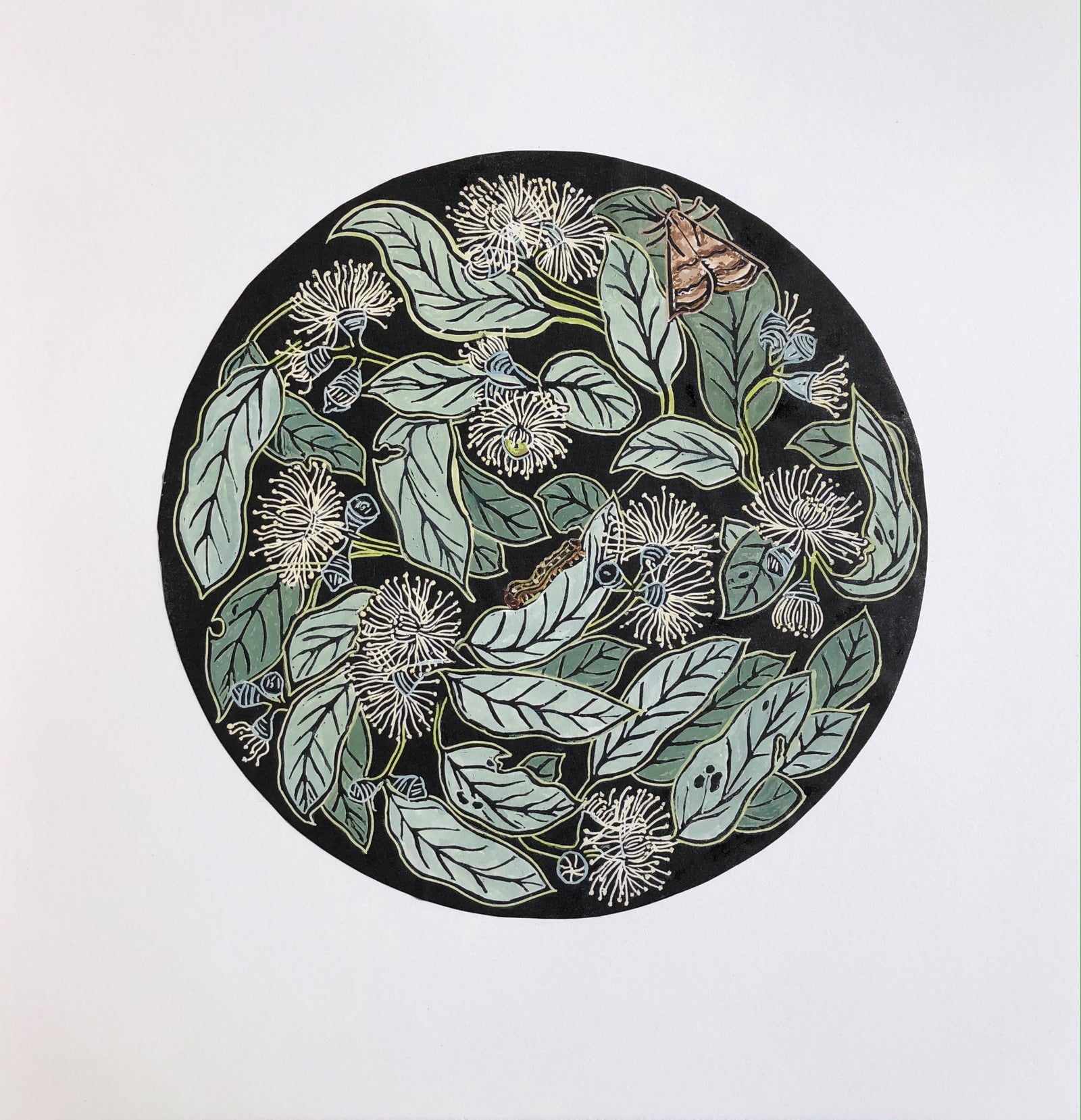 Averill Lawler - Keeper of Fragile Things: Eucalyptus Morrisbyi