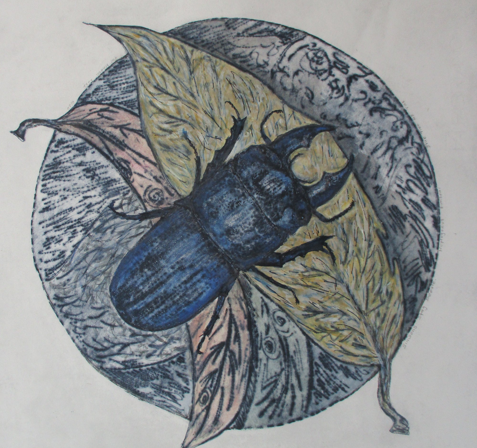 Patricia Martin - Simpsons stag beetle