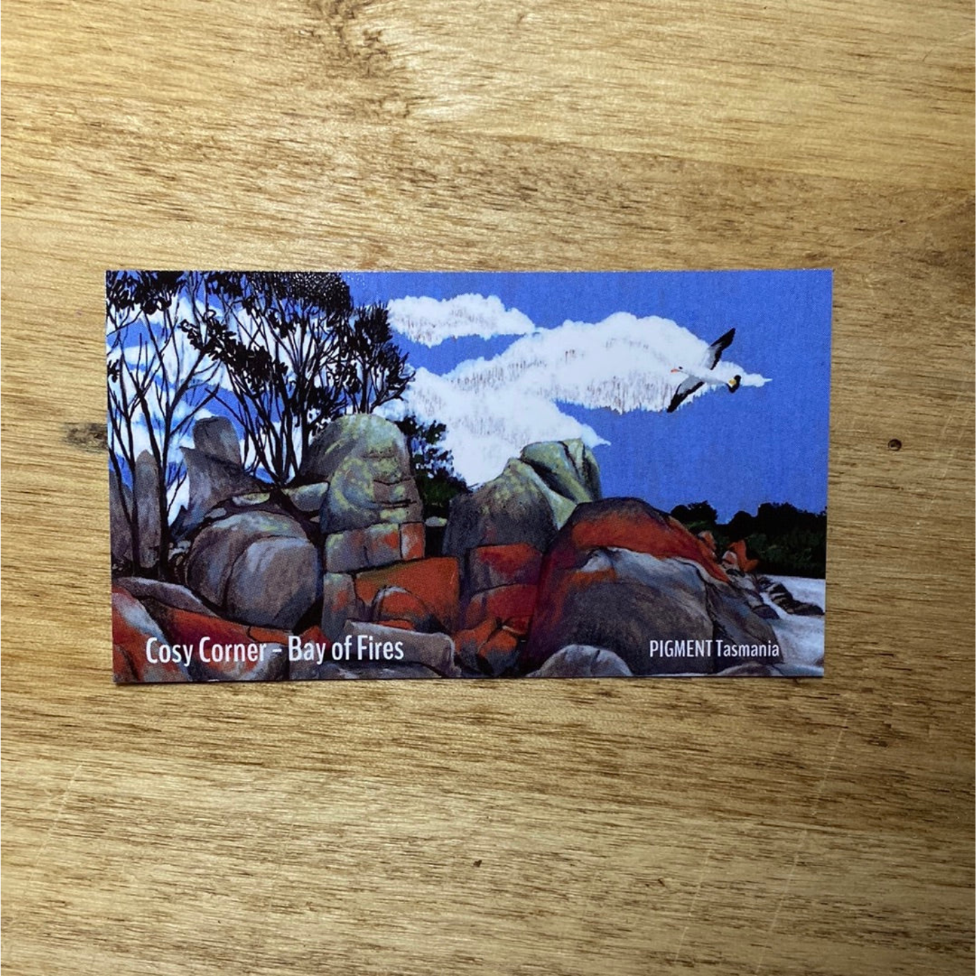 PIGMENT Monica Reeve - Magnet - Bay of Fires, East Coast Tasmania