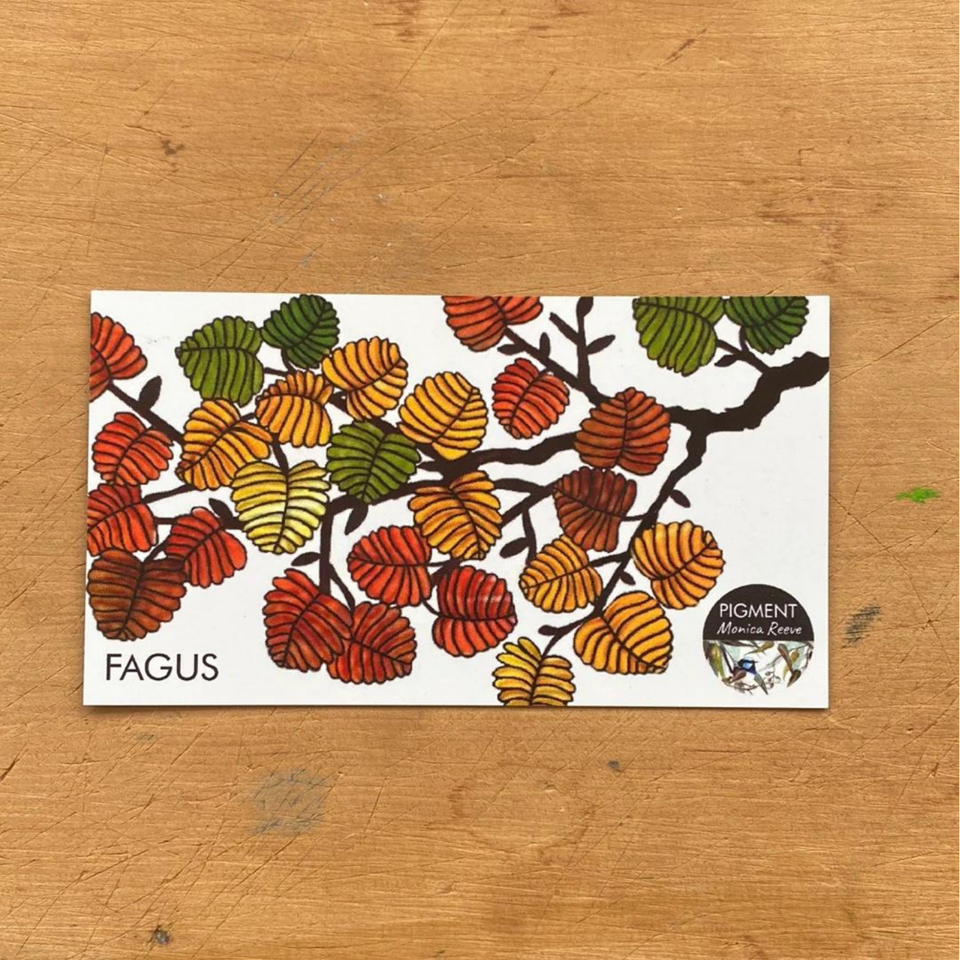 PIGMENT Monica Reeve - Magnet - Fagus