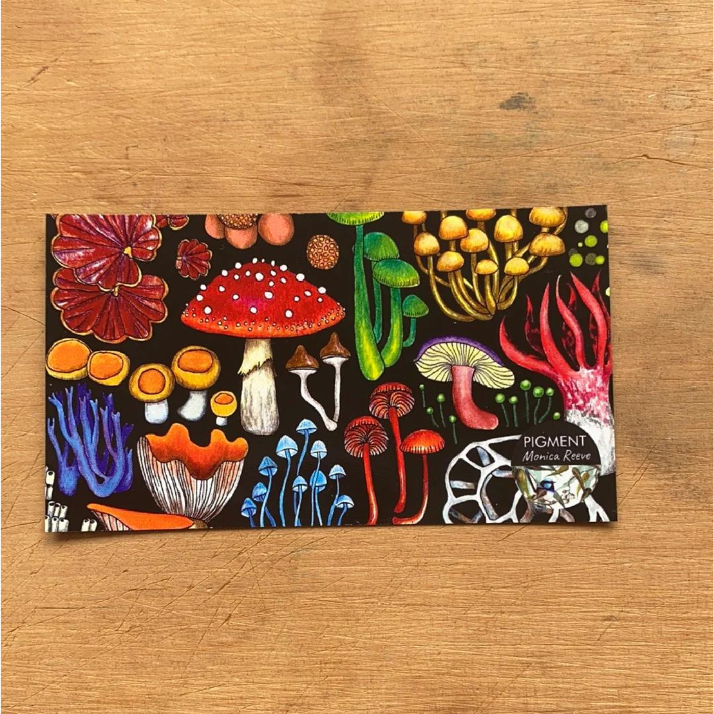 PIGMENT Monica Reeve - Magnet - Tasmanian Fungi