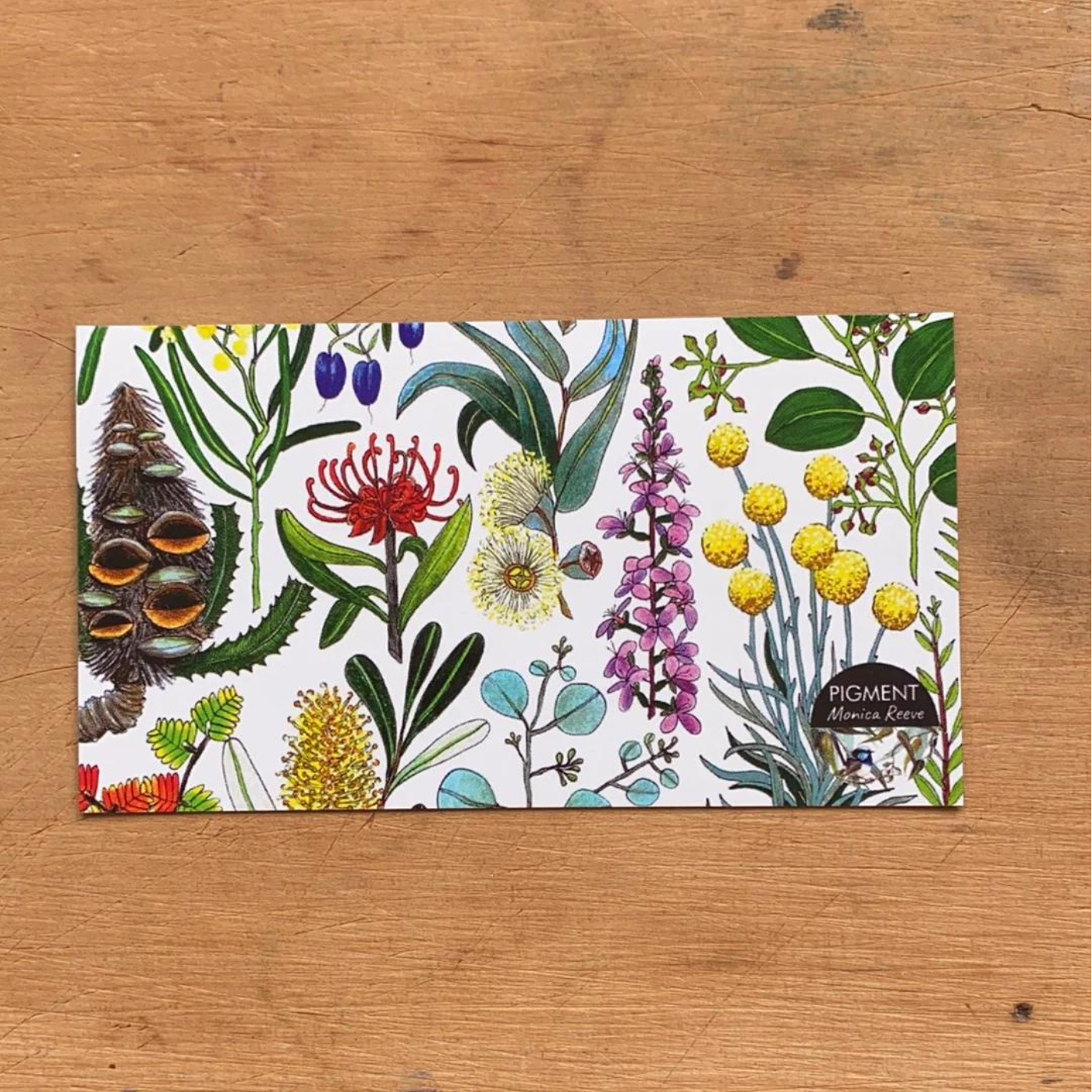 PIGMENT Monica Reeve - Magnet - Tasmanian Wildflowers