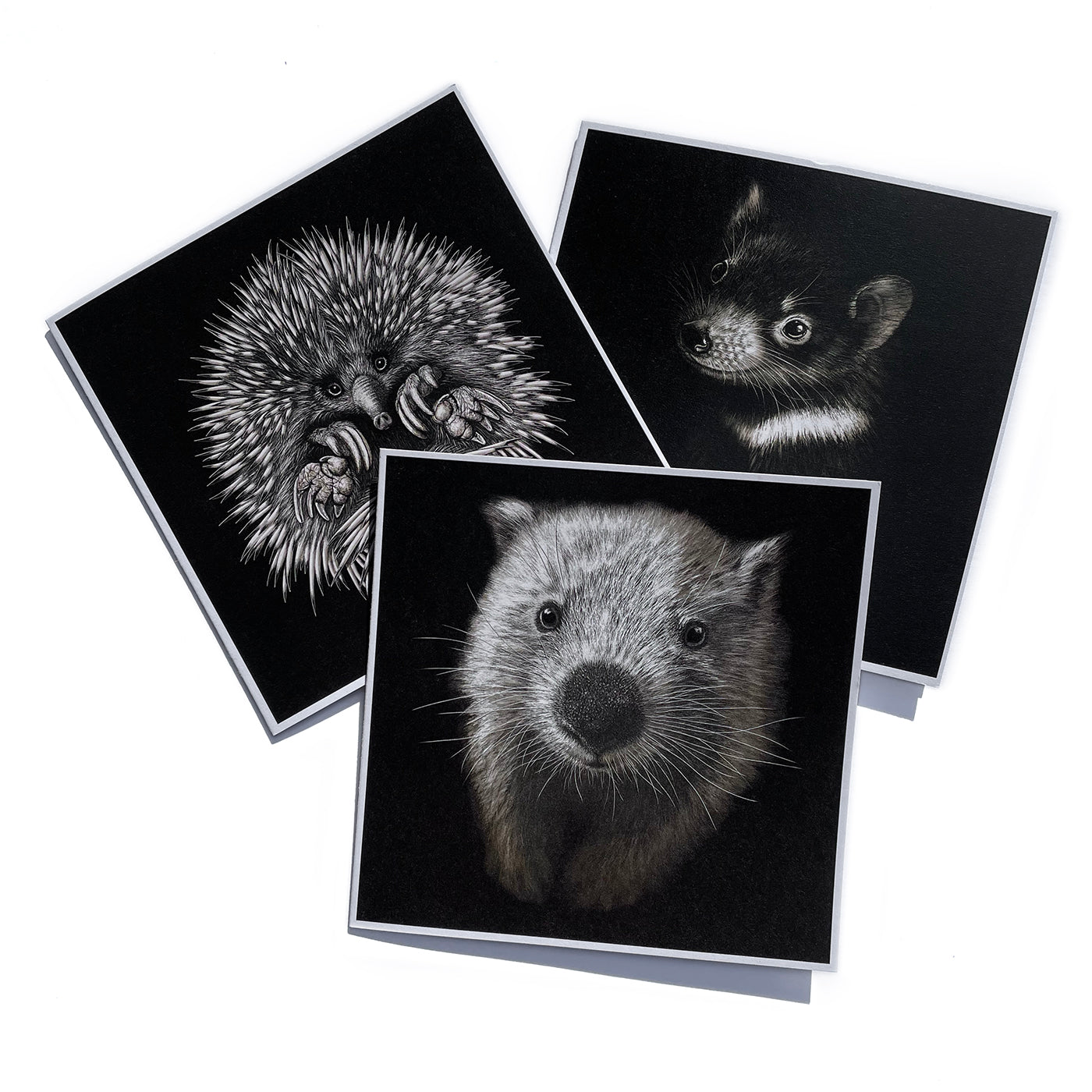 Rebecca Robinson - Pack of 6 Cards (Wombat, Echidna, Devil)