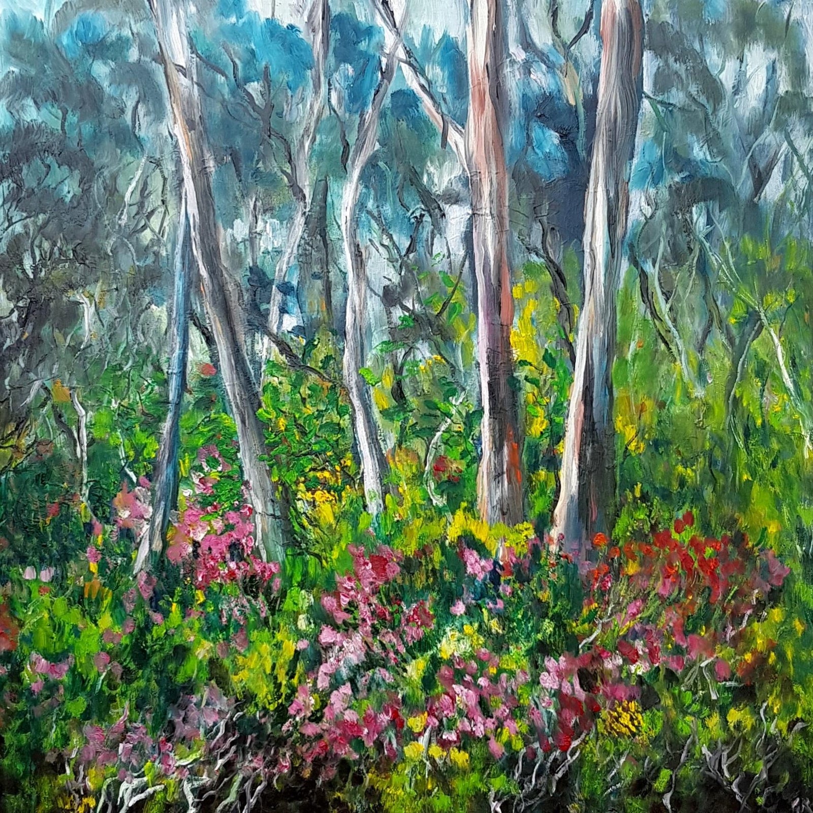 Georgina Richmond - Silver Peppermint Gums on kunanyi