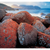 Rob Blakers - View to the Hazards II, Freycinet National Park