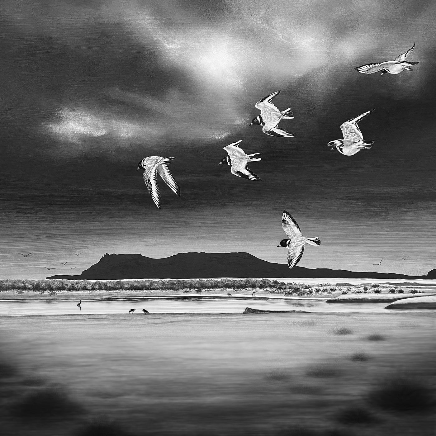 Rebecca Robinson - Orford Bird Sanctuary - Orford, Tasmania