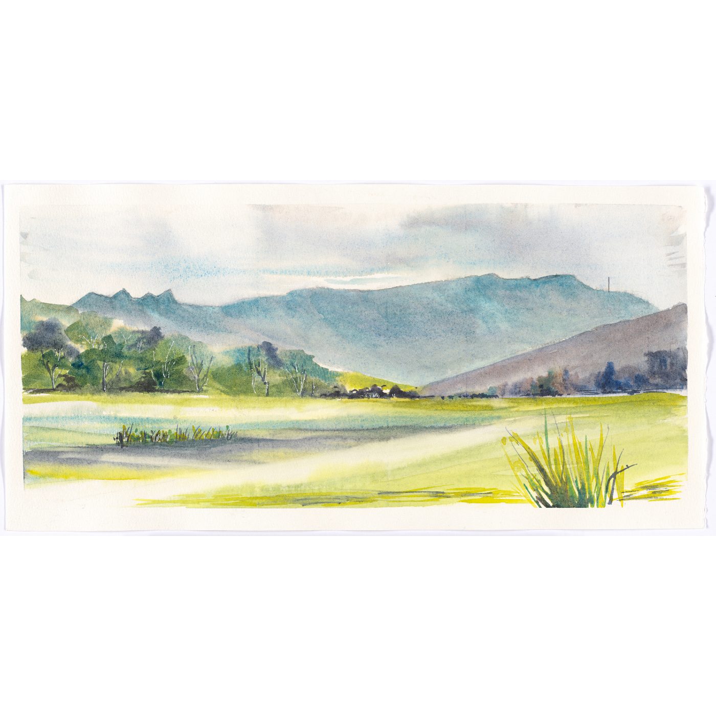 Nola Parsons - The Sleeping Beauty, Margate