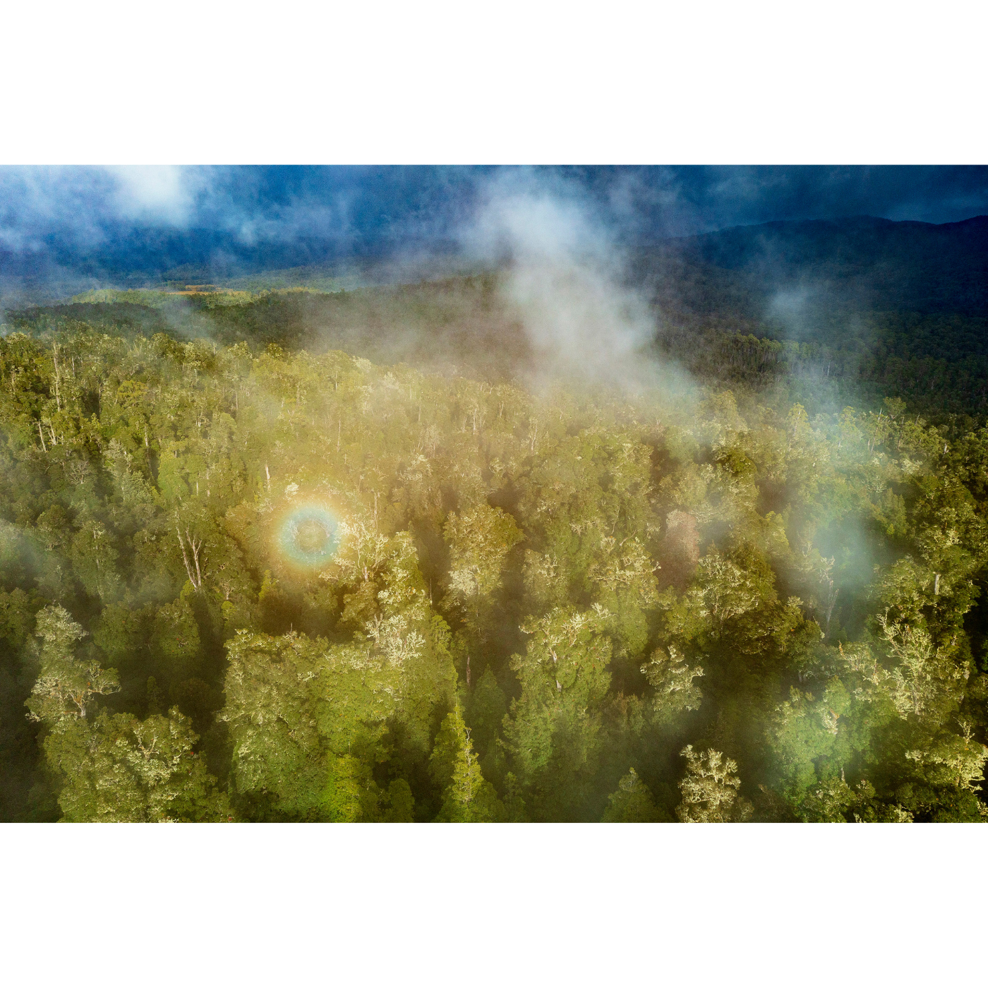 Luke O'Brien - Sun Showers, Tarkine