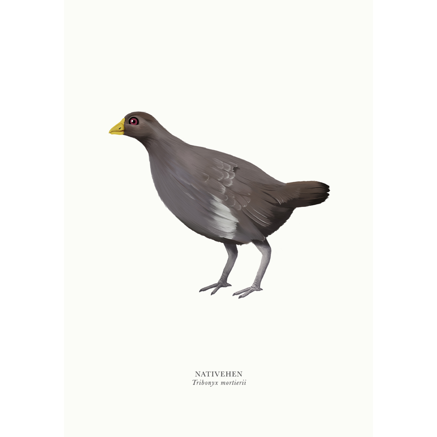 Sam Lyne - Art Print - Native Hen Solo
