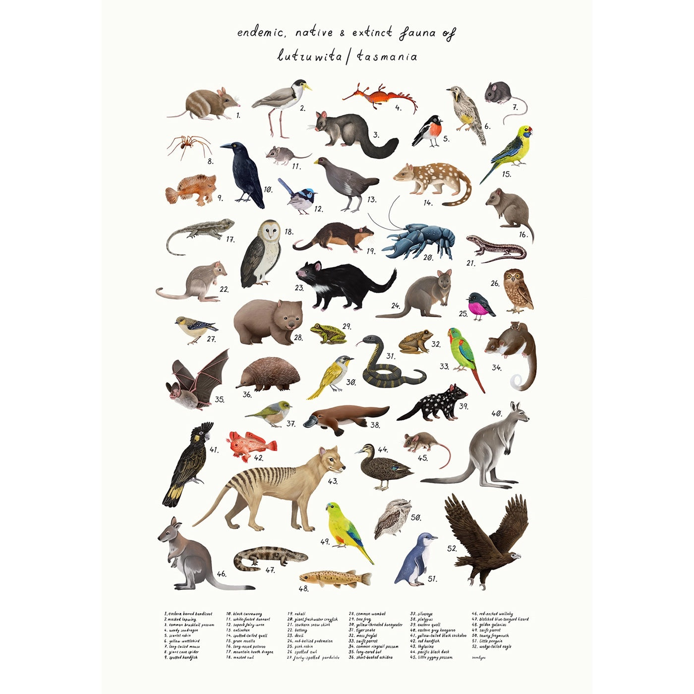 Sam Lyne - Poster - Fauna of lutruwita (Tasmania)