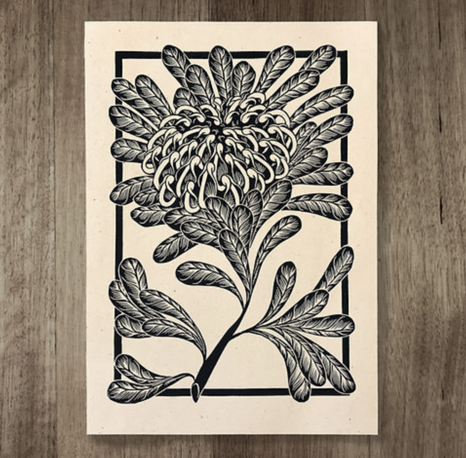 Catherine Arsaut - Art Print A4 - Waratah - Black on Hemp