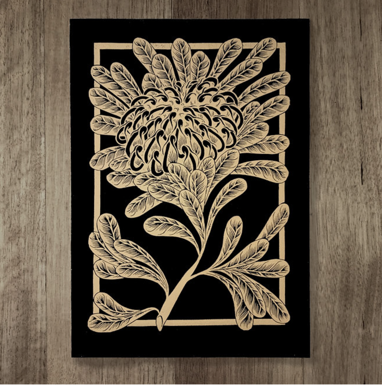 Catherine Arsaut - Art Print A4 - Waratah - Gold on Black