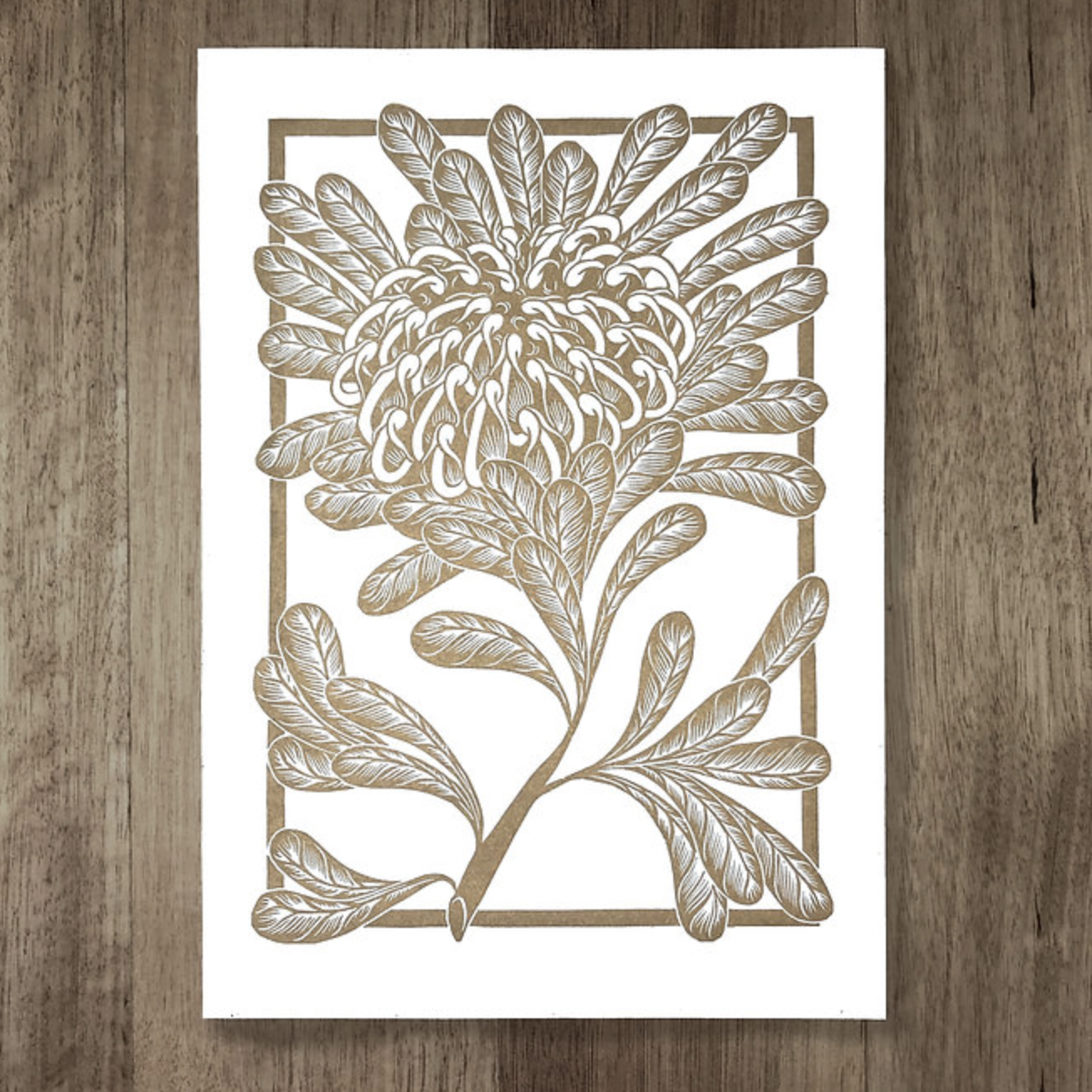 Catherine Arsaut - Art Print A4 - Waratah - Gold on White