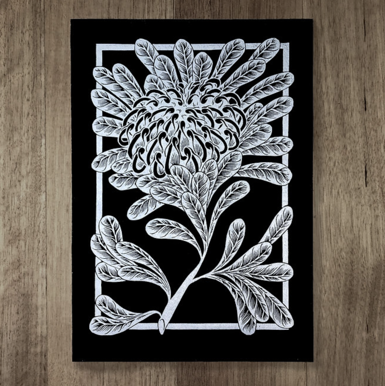 Catherine Arsaut - Art Print A4 - Waratah - Silver on Black