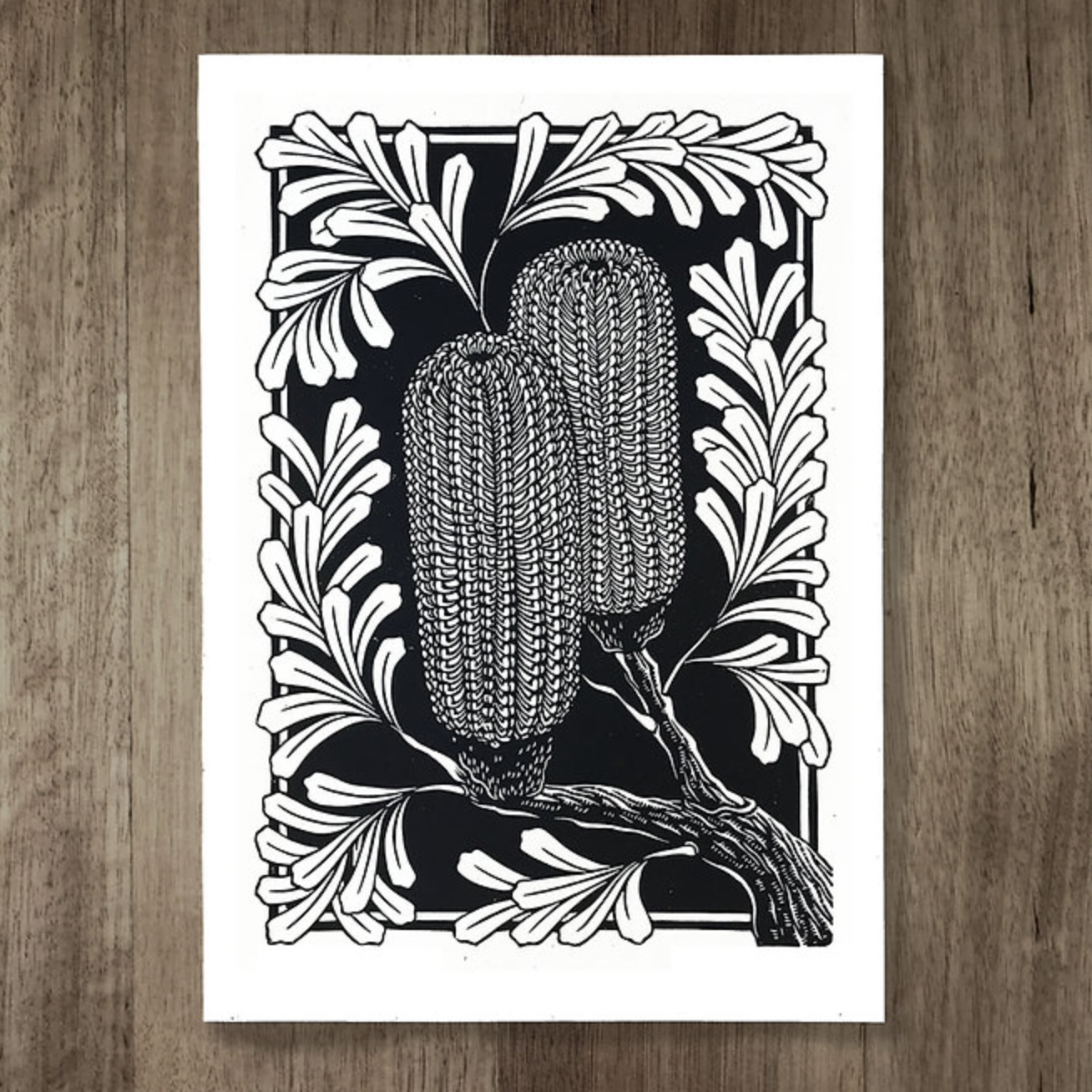 Catherine Arsaut - Art Print A4 - Banksia Marginata - Black on White