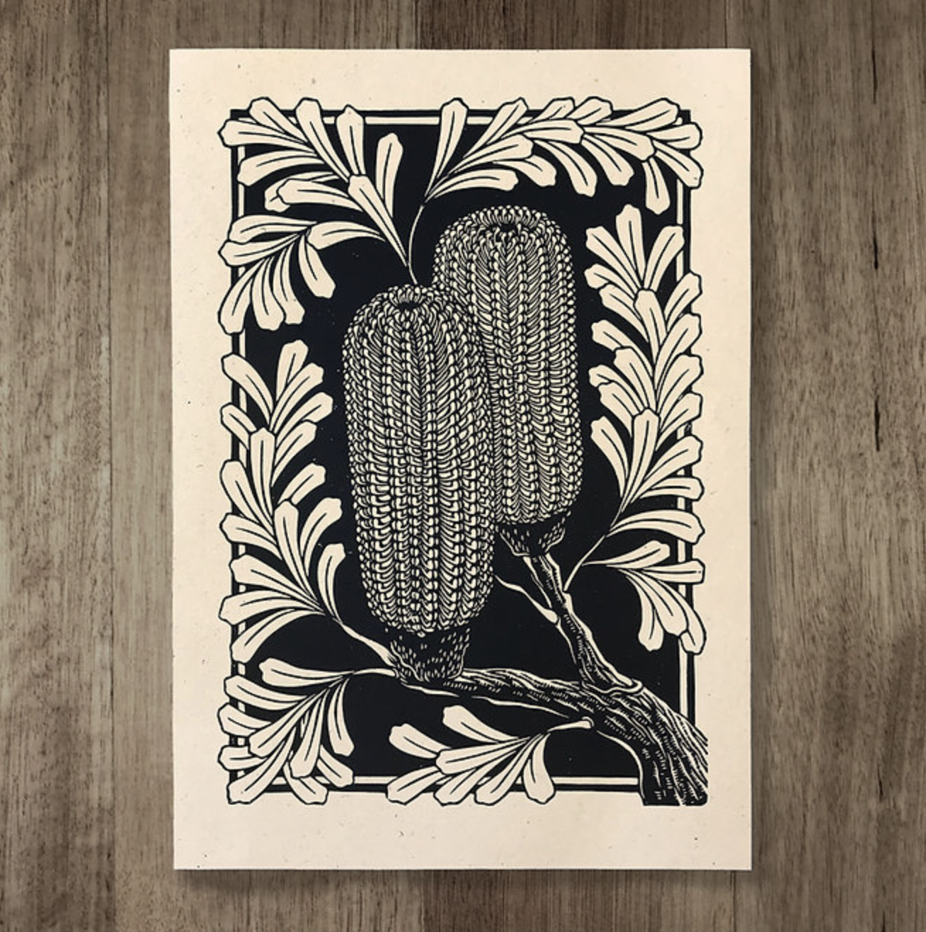 Catherine Arsaut - Art Print A4 - Banksia Marginata - Black on Hemp