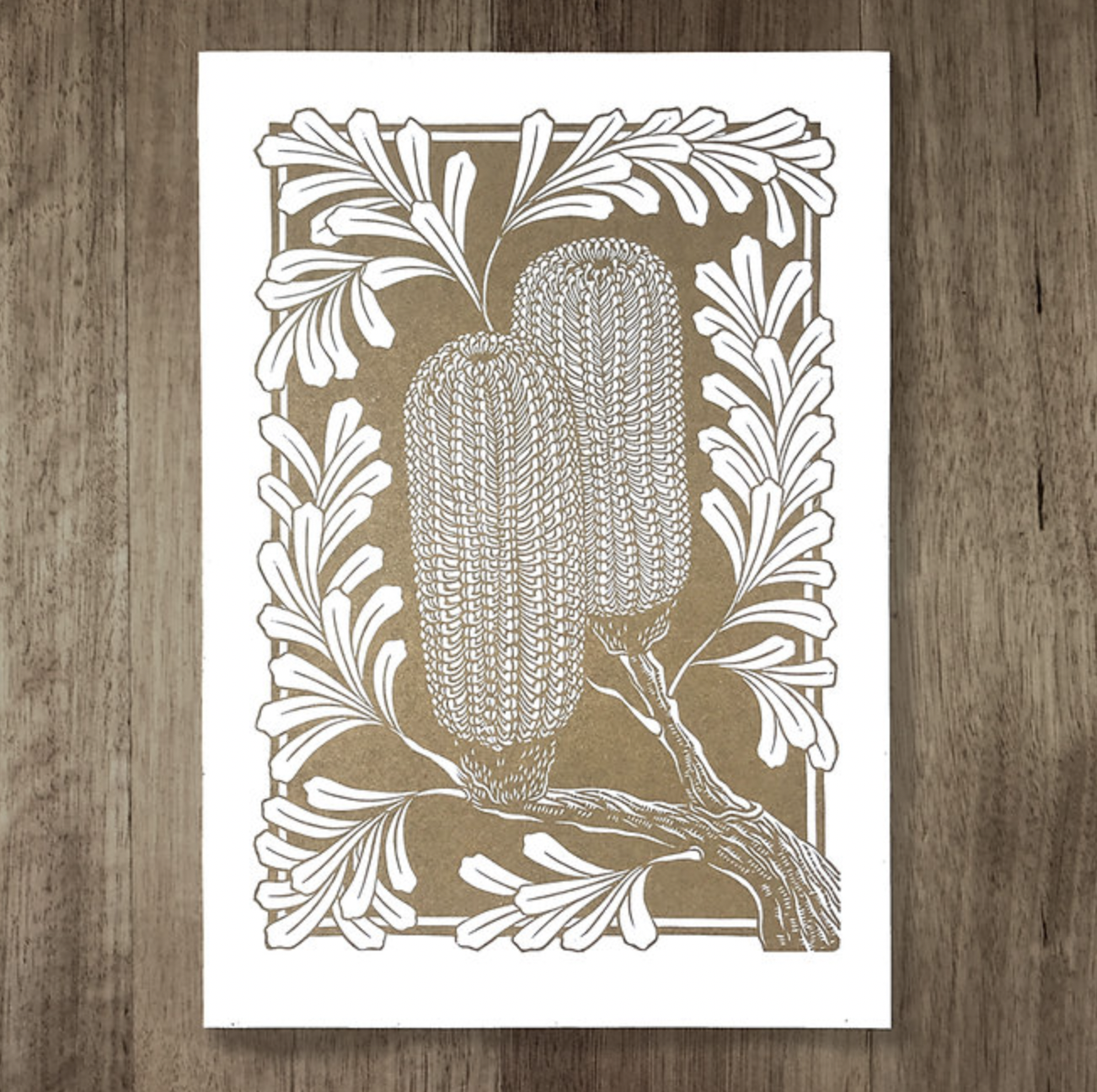 Catherine Arsaut - Art Print A4 - Banksia Marginata - Gold on White
