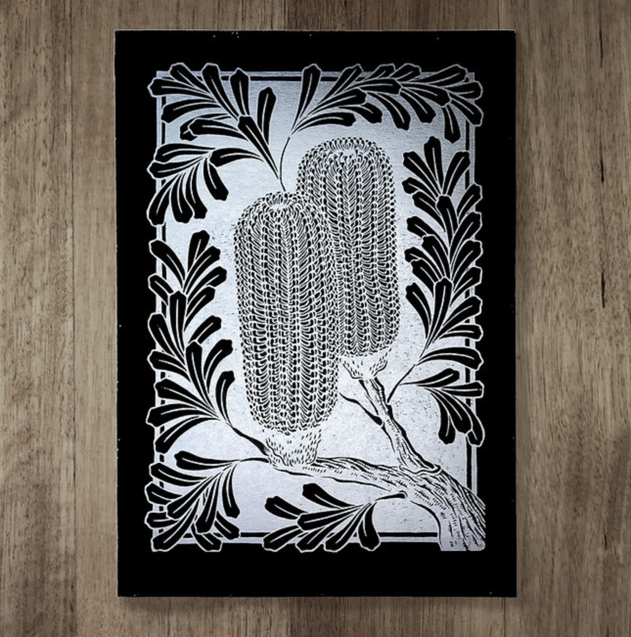 Catherine Arsaut - Art Print A4 - Banksia Marginata - Silver on Black