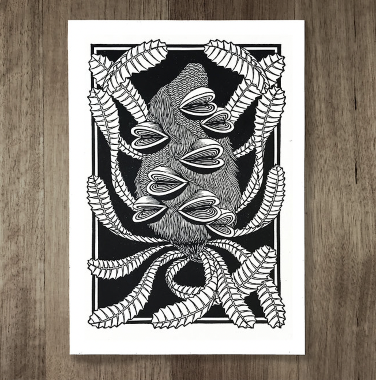 Catherine Arsaut - Art Print A4 - Banksia Serrata - Black on White