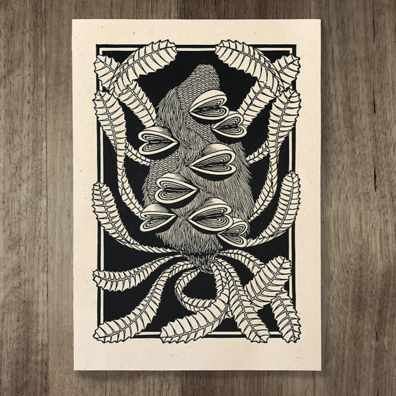 Catherine Arsaut - Art Print A4 - Banksia Serrata - Black on Hemp