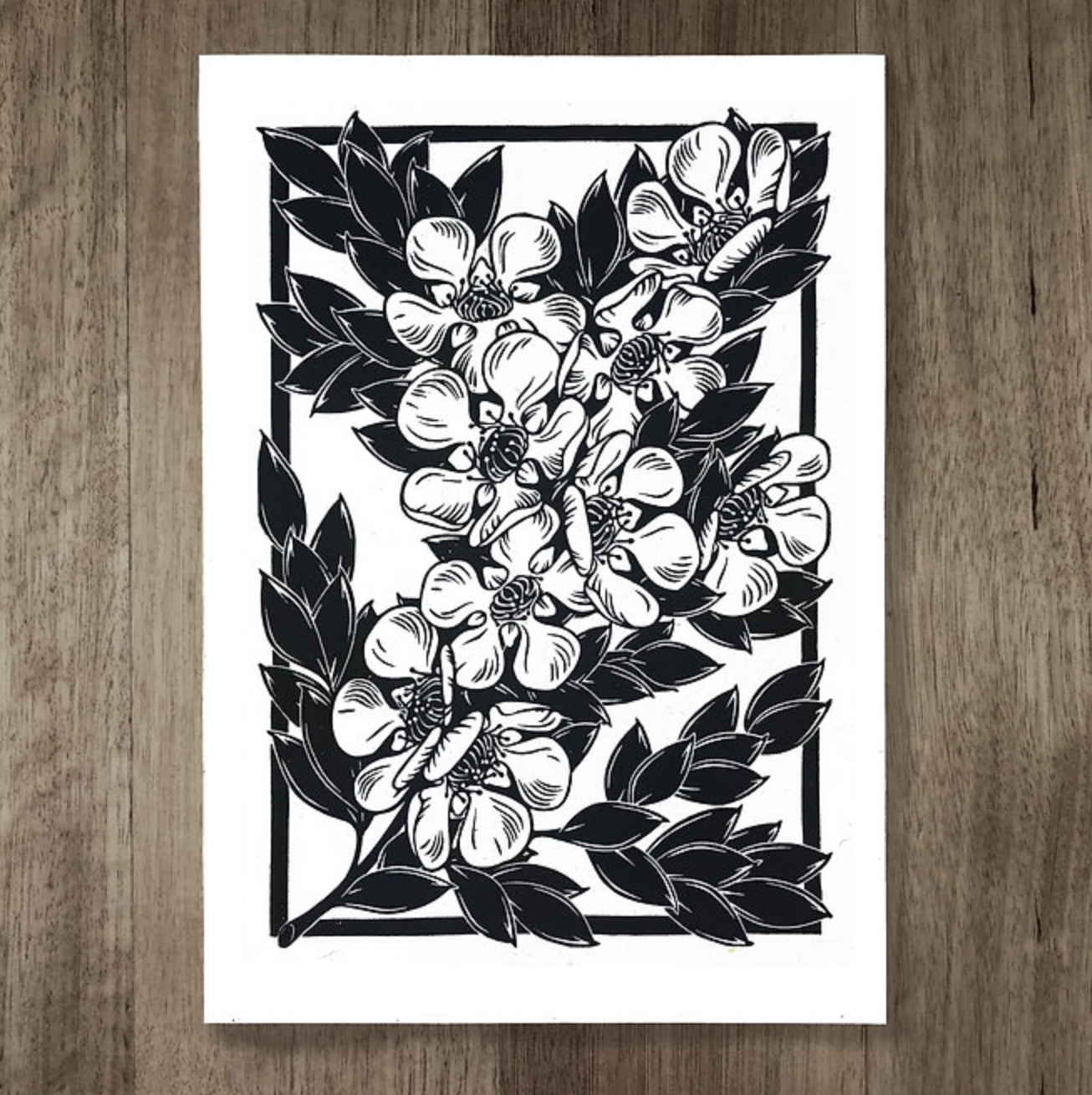 Catherine Arsaut - Art Print A4 - Tea Tree - Black on White