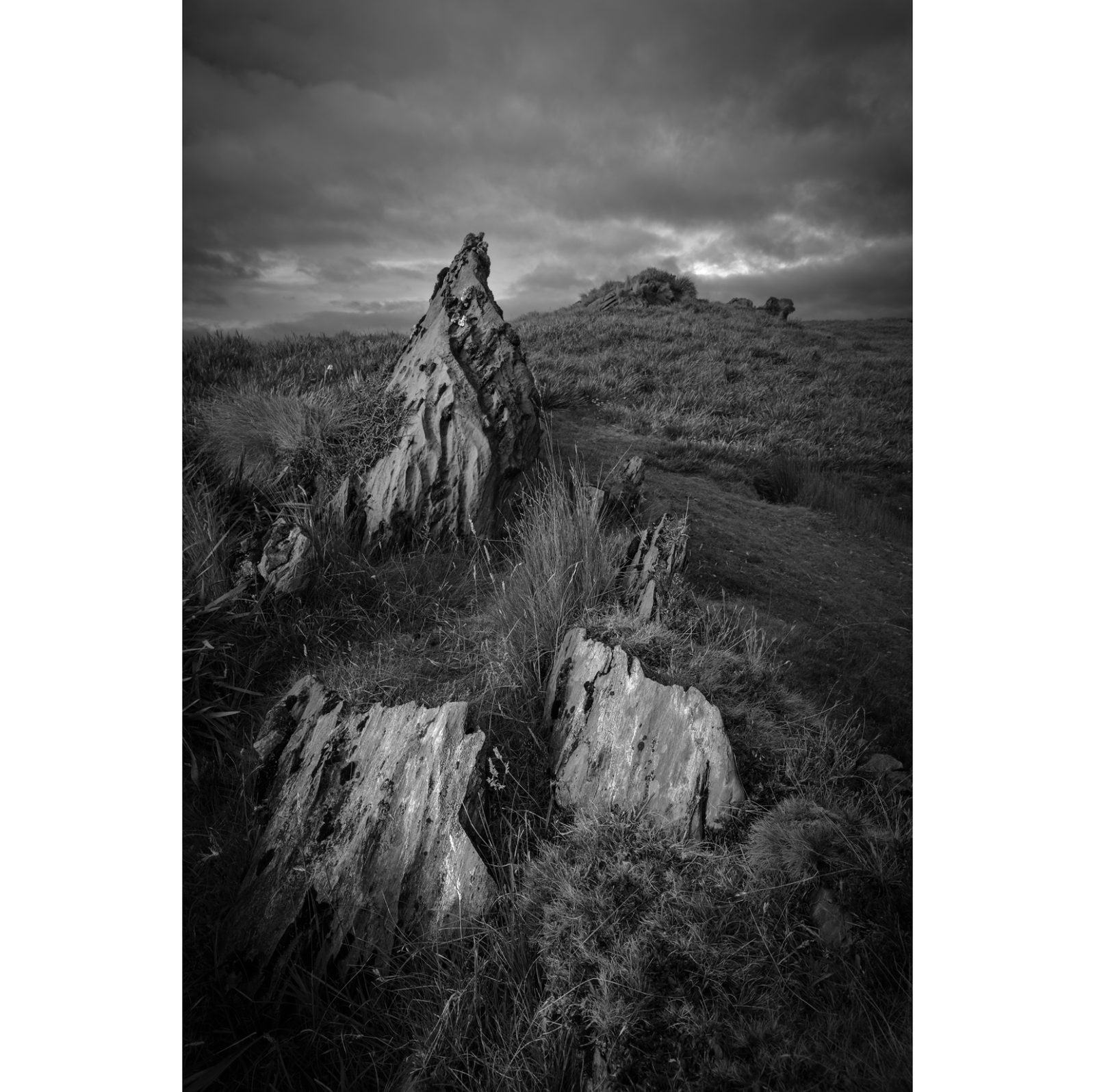 Kelly Slater - Honed Land, Vale of Belvoir Reserve