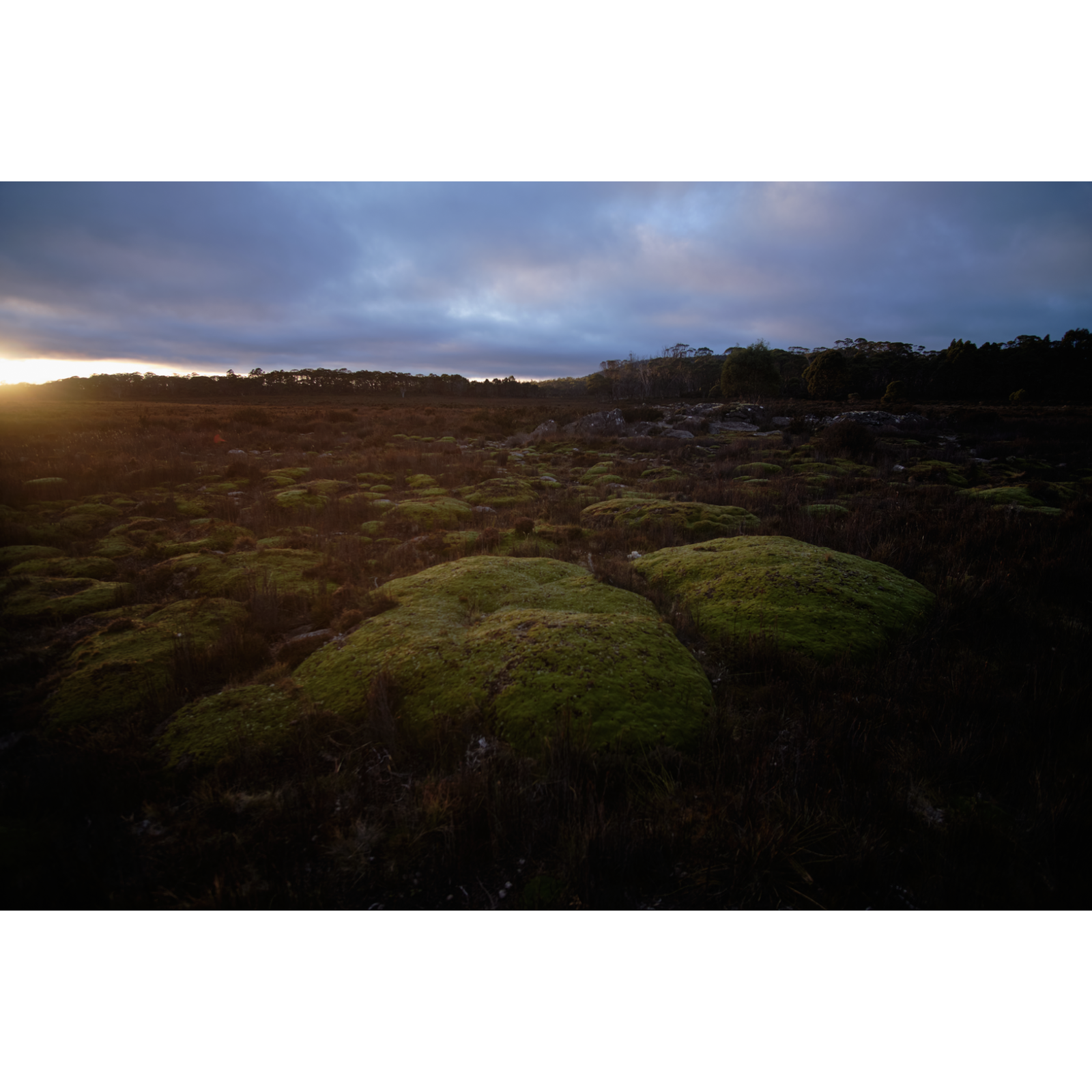 Karen Marie Keefe - Peatlands
