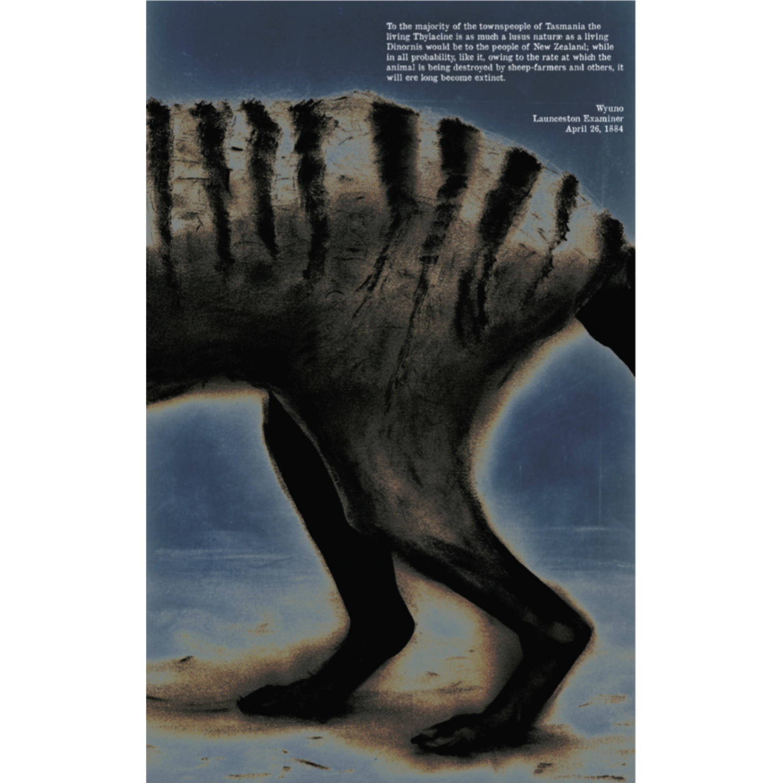 Geoff Tuck - Loss 1884