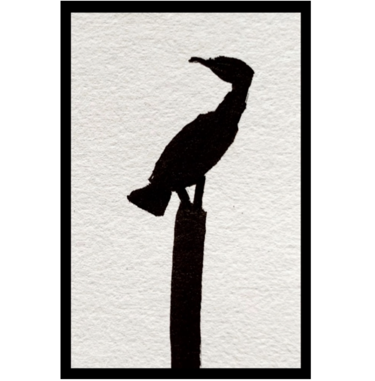 Geoff Tuck - Cormorant