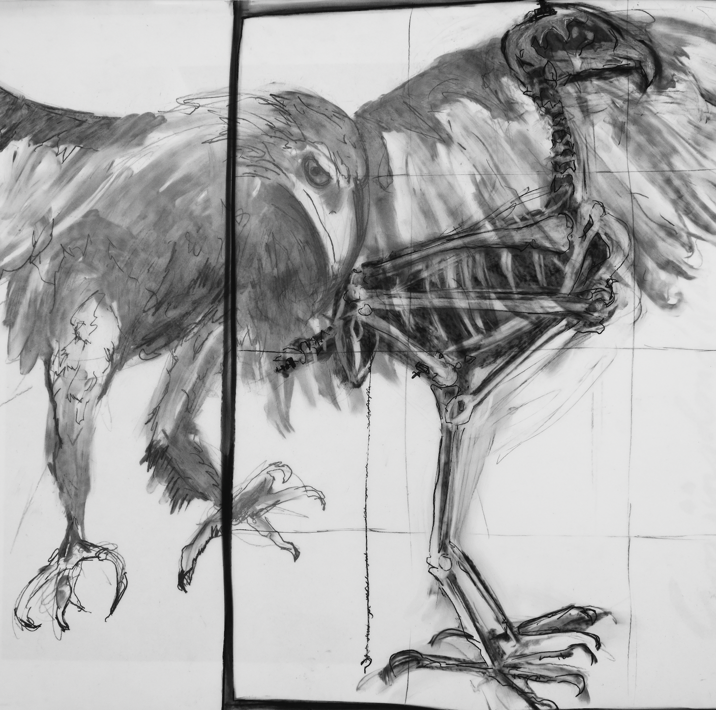 Lou-anne Barker - Wedge-tail eagle II