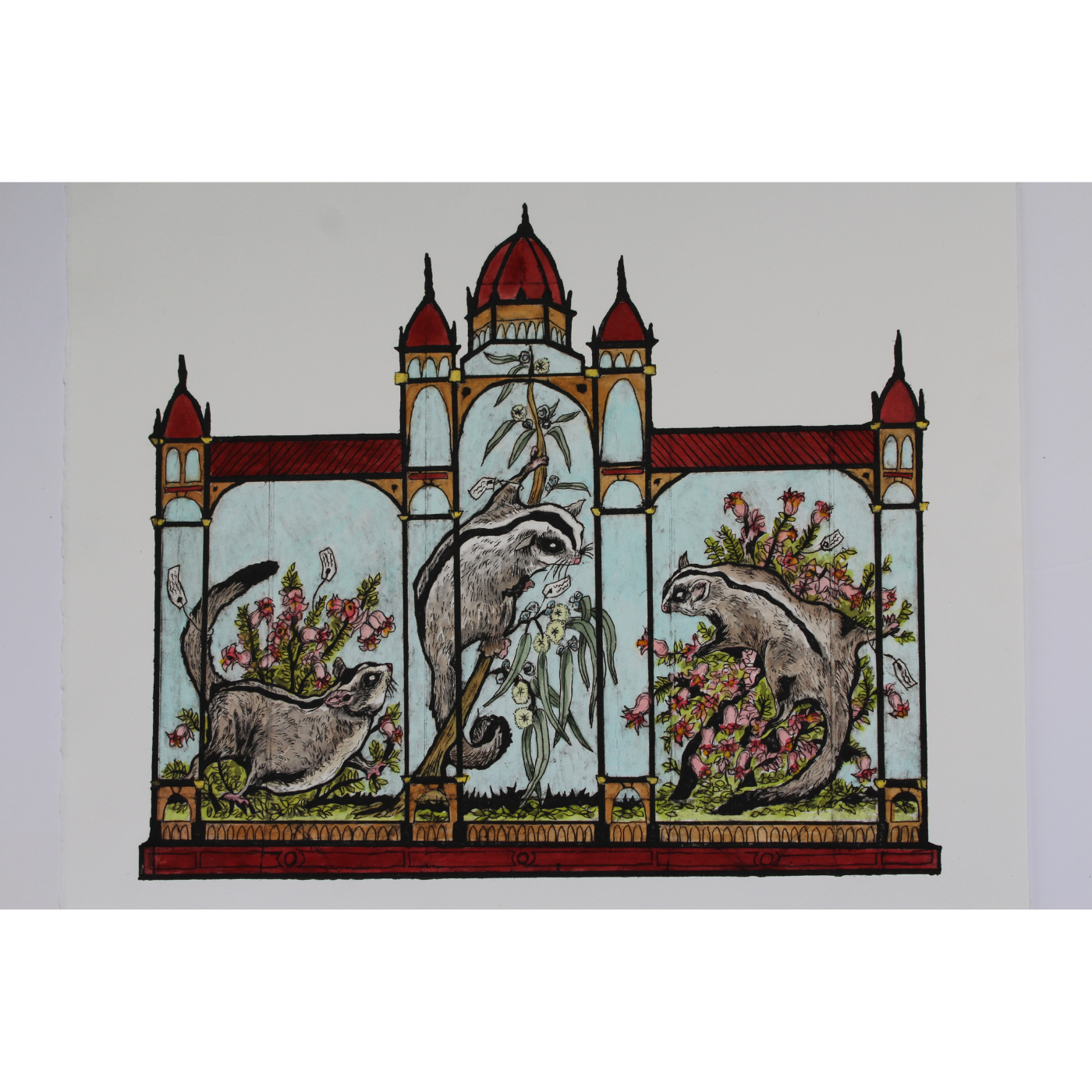 Anna Berger - Sugar Gliders, Pink Heath and Tasmanian Bluegum