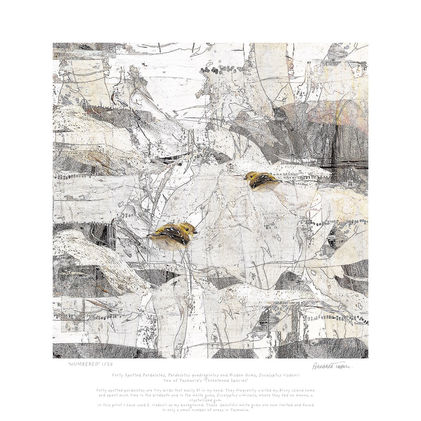 Barbara Tassell - Numbered