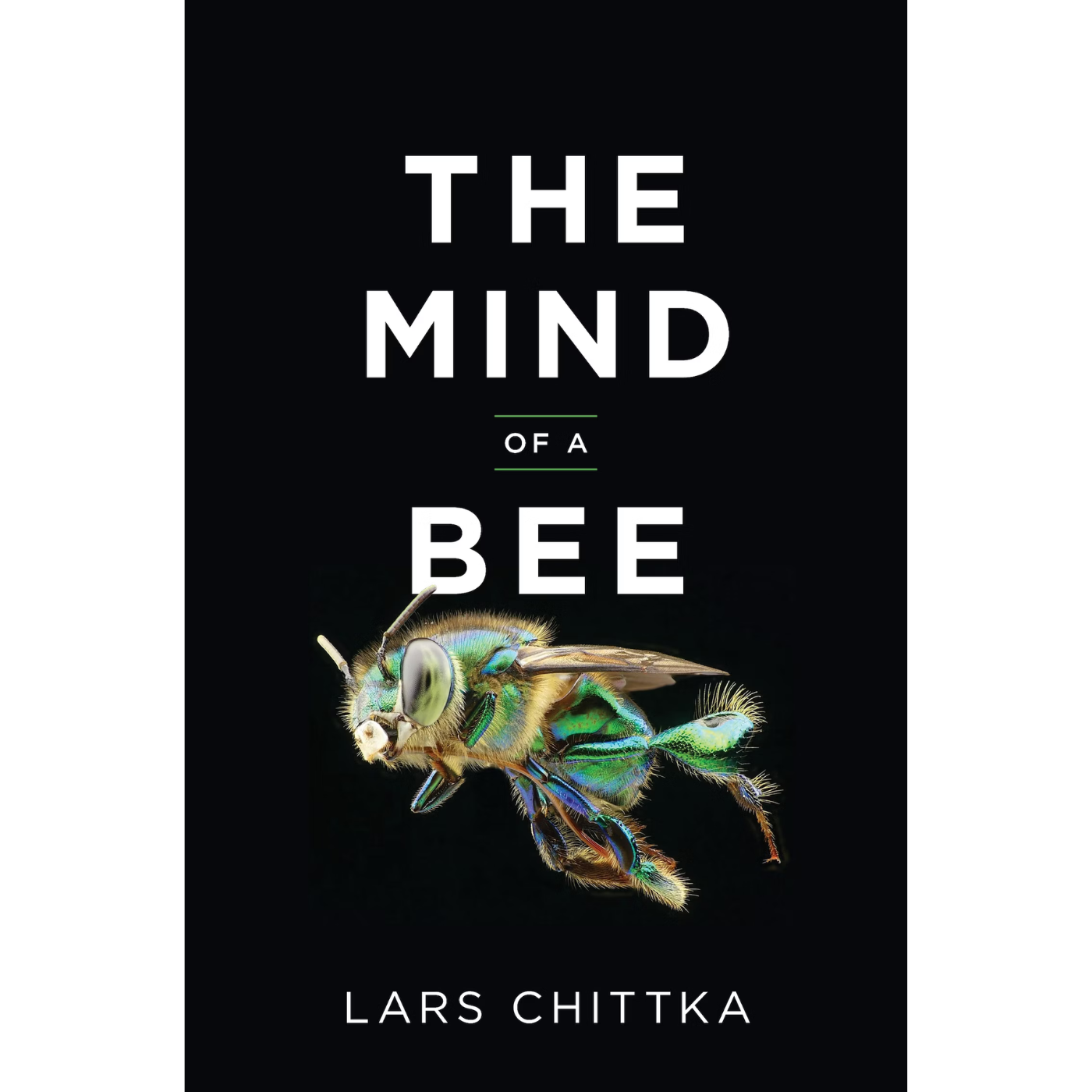 The Mind of a Bee