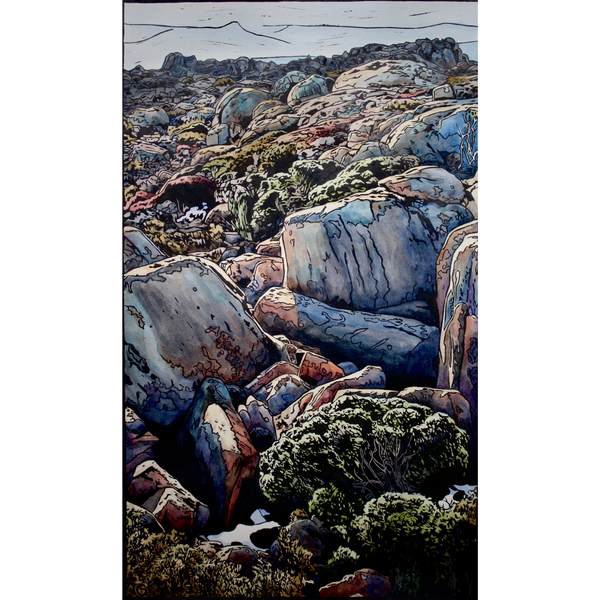 Grace Gladdish Summit 2 Wild Island Tasmania