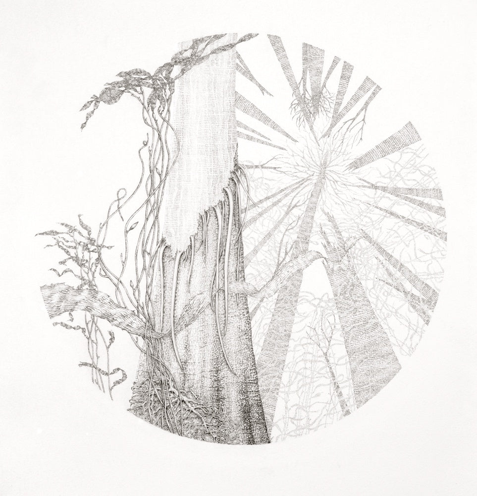 Amanda Walker - Breathe (Giant Kelp)