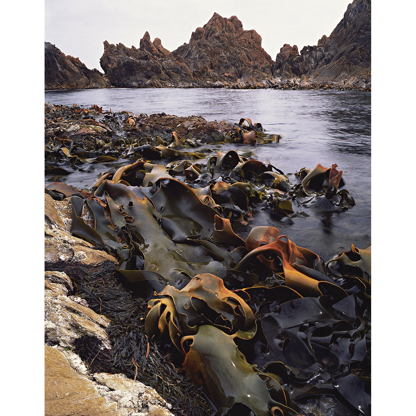 Peter Dombrovskis - Tarkine Coast