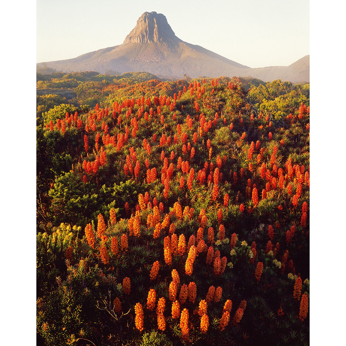Peter Dombrovskis - Barn Bluff