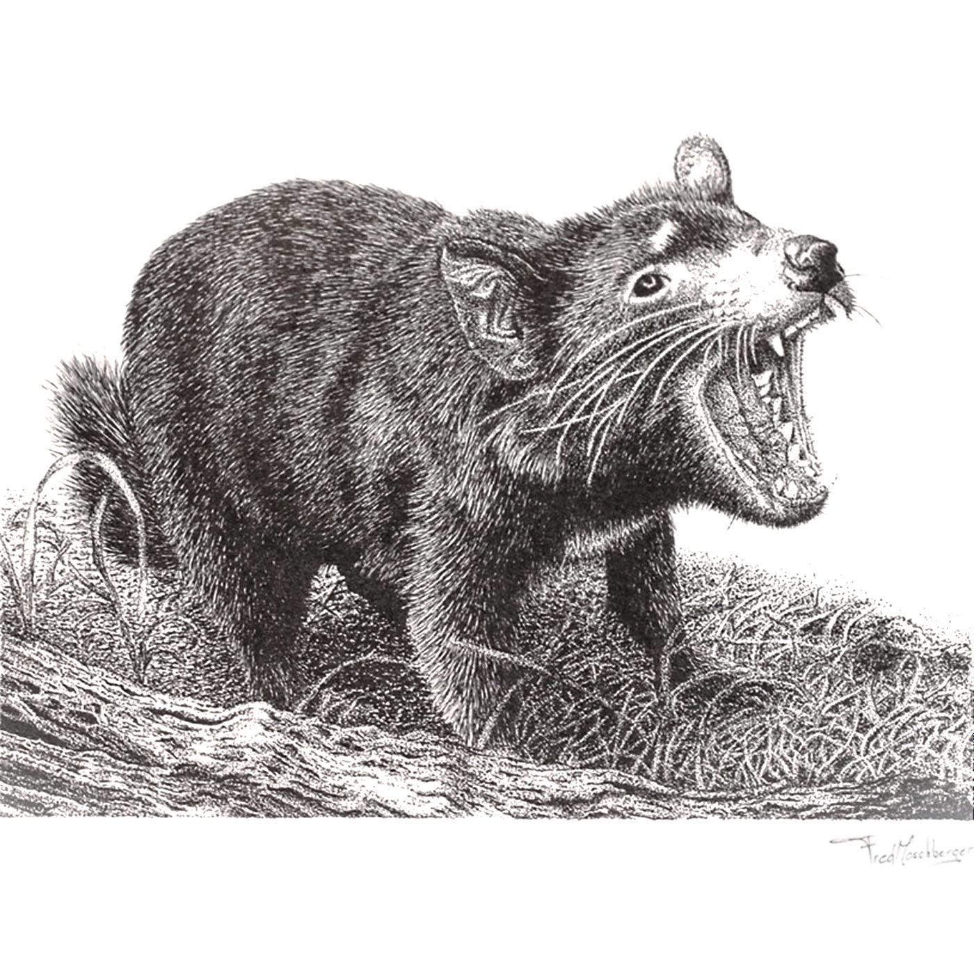 InkStreamArt - Art Print - Little Devil