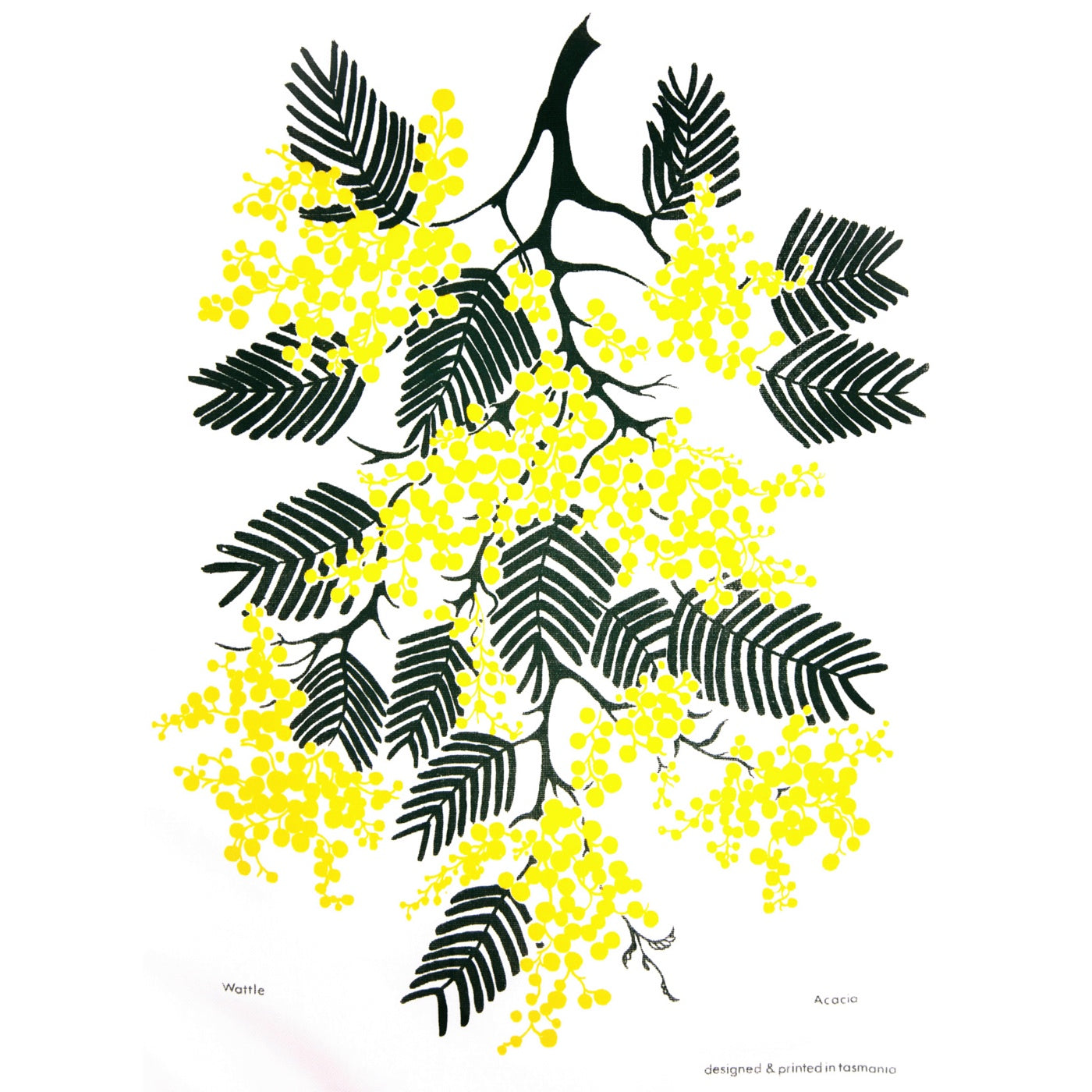 The T-Towel Gallery - Tea Towel - Wattle