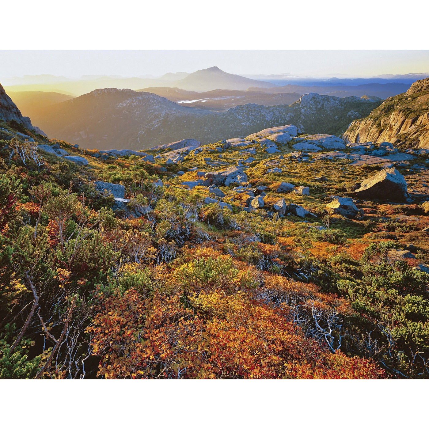 Rob Blakers - West Coast Range - Autumn 2