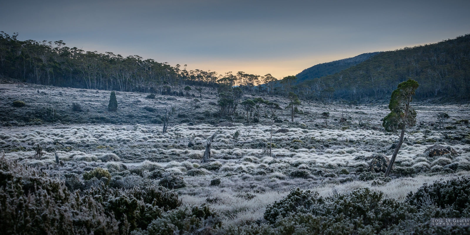 Loic Le Guilly - Frozen Moorland, Mt Field