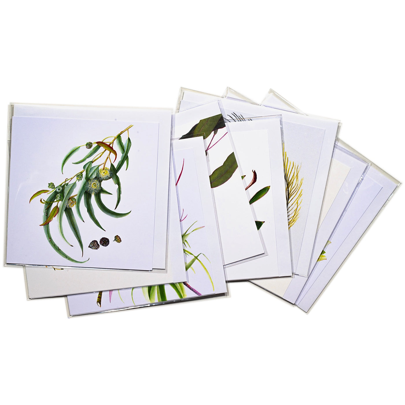 Sue Stuart - Pack of 8 Cards