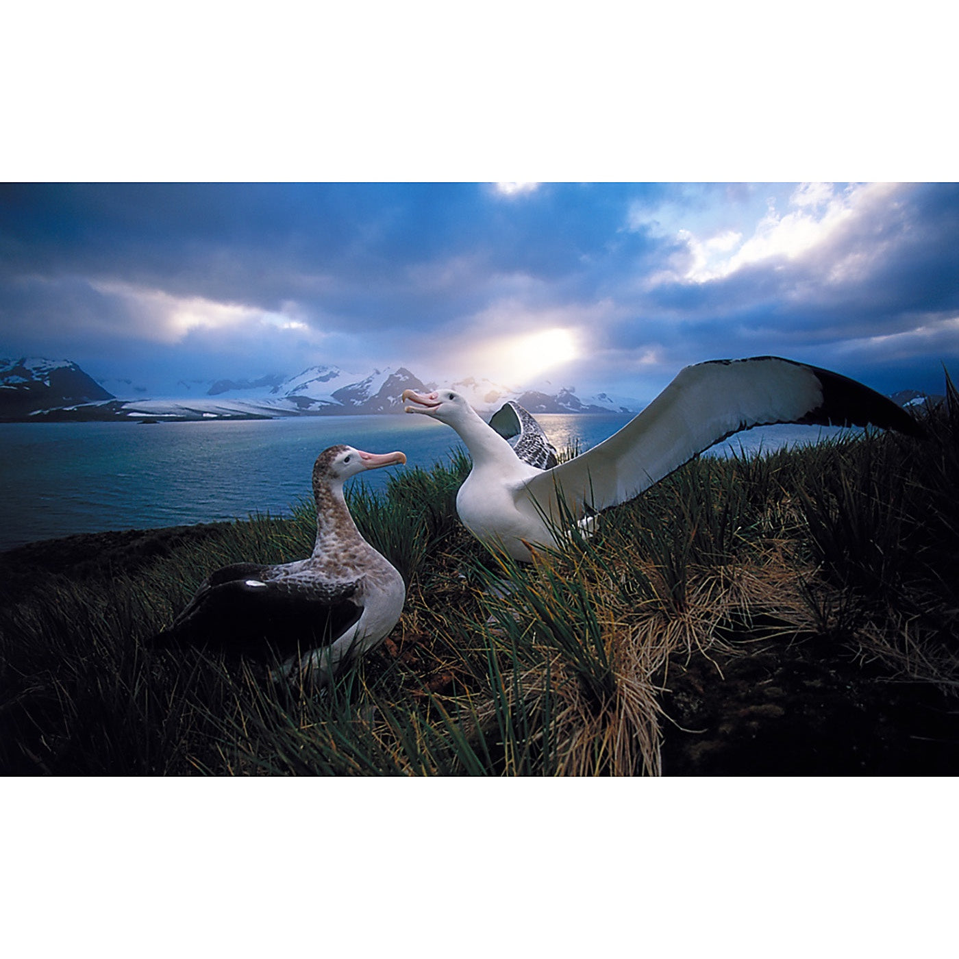 Graham Robertson - Cathedral light