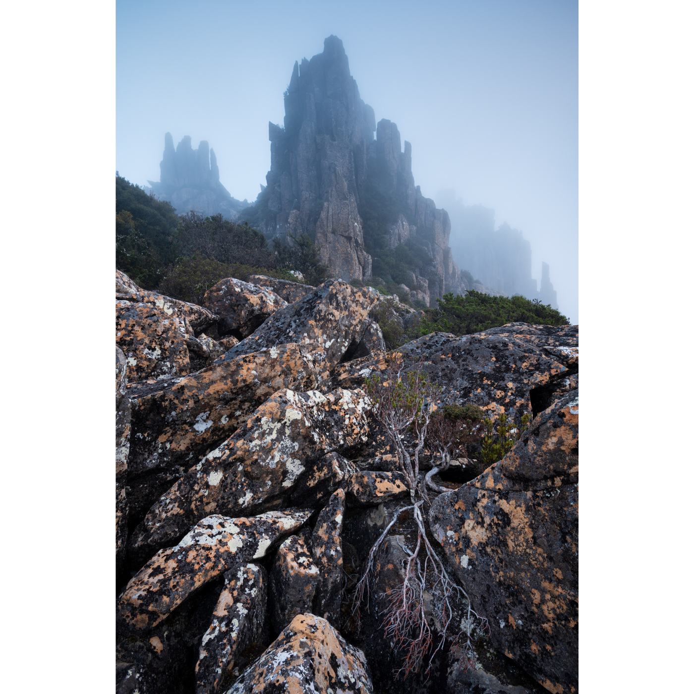 Nick Monk - Cathedral in the Sky, North East Tasmania