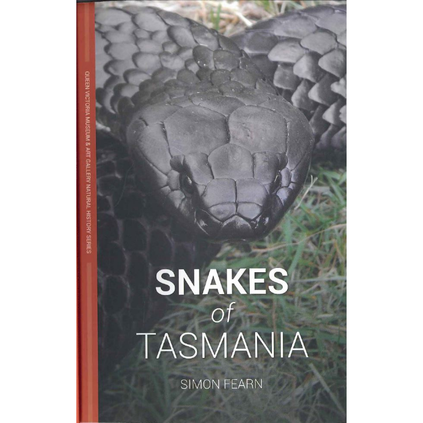 Snakes of Tasmania