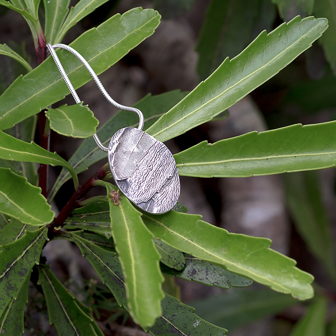Olivia Hickey - Cameo Collection - Pendant - Fragrant Candlebush - Sterling Silver (Oxidised)