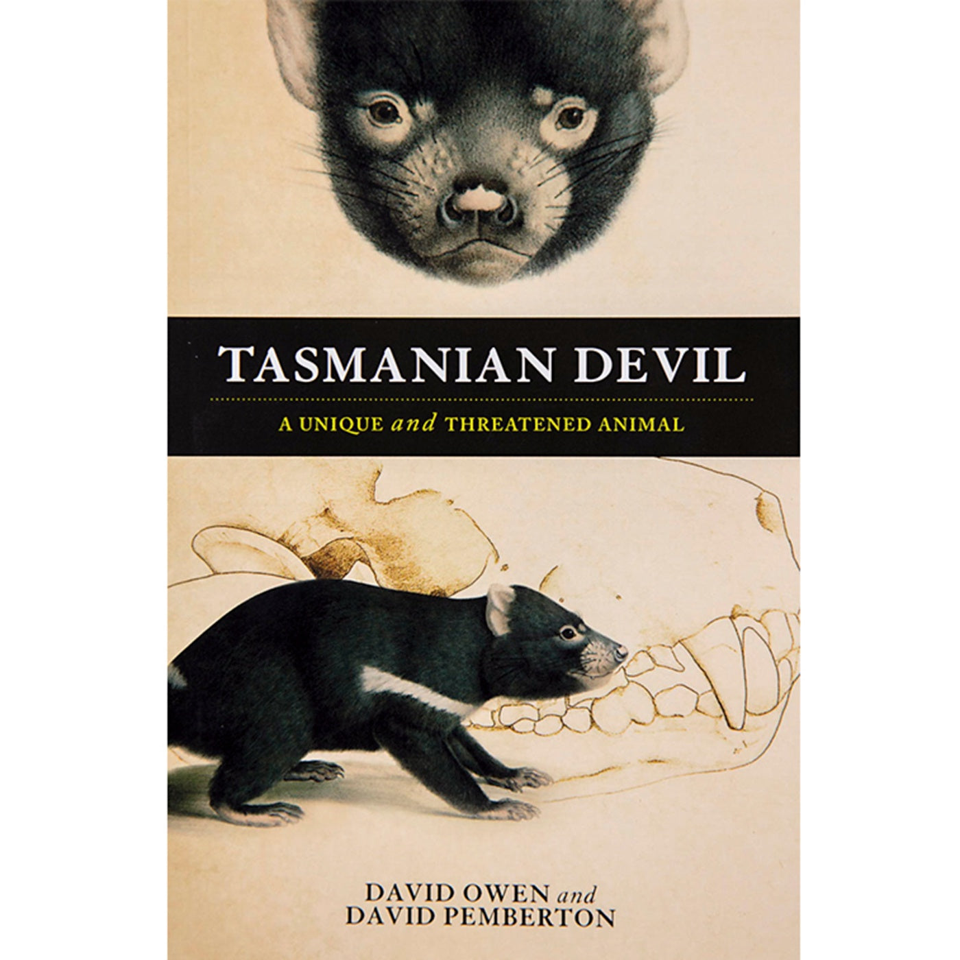 Tasmanian Devil: A Unique And Threatened Animal